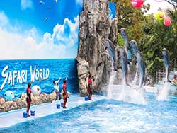 บริการรับจองตั๋ว-บัตร-เข้าชม-ซาฟารี-เวิลด์-สวนสัตว์เปิด-เที่ยวกรุงเทพ-ราคาถูก-7