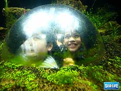 ราคาบัตรเข้าชม-มาดาม-ทุสโซ-พิพิธภัณฑ์หุ่นขี้ผึ้ง-+-ซีไลฟ์-แบงคอก-โอเชียน-เวิลด์-18