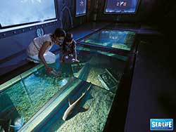 ราคาบัตรเข้าชม-มาดาม-ทุสโซ-พิพิธภัณฑ์หุ่นขี้ผึ้ง-+-ซีไลฟ์-แบงคอก-โอเชียน-เวิลด์-20