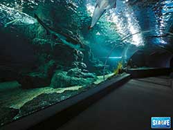 ราคาบัตรเข้าชม-มาดาม-ทุสโซ-พิพิธภัณฑ์หุ่นขี้ผึ้ง-+-ซีไลฟ์-แบงคอก-โอเชียน-เวิลด์-22