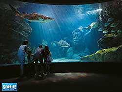 ราคาบัตรเข้าชม-มาดาม-ทุสโซ-พิพิธภัณฑ์หุ่นขี้ผึ้ง-+-ซีไลฟ์-แบงคอก-โอเชียน-เวิลด์-23