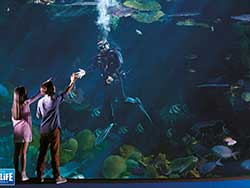 ราคาบัตรเข้าชม-มาดาม-ทุสโซ-พิพิธภัณฑ์หุ่นขี้ผึ้ง-+-ซีไลฟ์-แบงคอก-โอเชียน-เวิลด์-24