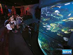 ราคาบัตรเข้าชม-มาดาม-ทุสโซ-พิพิธภัณฑ์หุ่นขี้ผึ้ง-+-ซีไลฟ์-แบงคอก-โอเชียน-เวิลด์-26