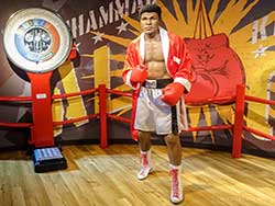 ราคาบัตรเข้าชม-มาดาม-ทุสโซ-พิพิธภัณฑ์หุ่นขี้ผึ้ง-+-ซีไลฟ์-แบงคอก-โอเชียน-เวิลด์-4