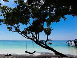 กระบี่-ทัวร์วันเดย์-เกาะรอก-เกาะห้า-เรือคาตามารัน-10