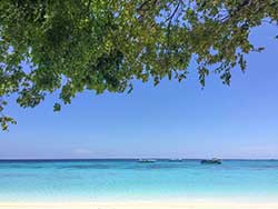 กระบี่-ทัวร์วันเดย์-เกาะรอก-เกาะห้า-เรือคาตามารัน-12