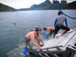 ทัวร์-วันเดย์-พรีเมียม-เกาะพีพี-เรือคาตามารัน-ภูเก็ต-3