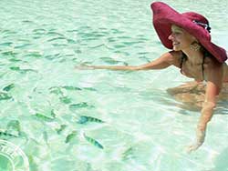 ภูเก็ต-ทัวร์วันเดย์-เกาะห้อง-กระบี่-เกาะยาวน้อย-เรือคาตามารัน-14