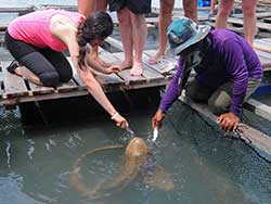ภูเก็ต-ทัวร์วันเดย์-เกาะห้อง-กระบี่-เกาะยาวน้อย-เรือคาตามารัน-16