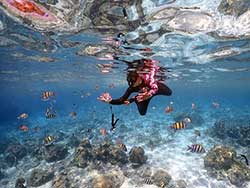 ทัวร์ภูเก็ต-เกาะราชาน้อย-ราชาใหญ่-เกาะไม้ท่อน-เรือคาตามารัน-14