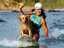 จำหน่ายบัตรเข้าเล่นเวคบอร์ด-ภูเก็ต-Wakeboard-Phuket-11