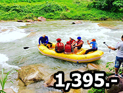 ภูเก็ต-แอคทิวิตี้-ทัวร์ล่องแก่ง-7-กิโลเมตร-สองแพรก-พังงา