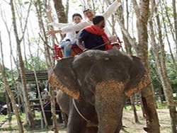 ภูเก็ตทัวร์นั่งช้าง-ขี่ช้าง-2