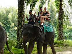 ภูเก็ตทัวร์นั่งช้าง-ขี่ช้าง-3