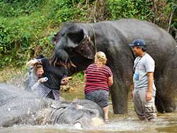 เขาหลักซาฟารี-ทัวร์ล่องแพไม้ไผ่-นั่งช้าง-ภูเก็ต-13
