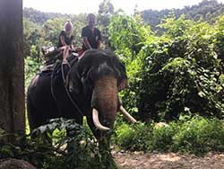 เขาหลักซาฟารี-ทัวร์ล่องแพไม้ไผ่-นั่งช้าง-ภูเก็ต-5