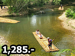 เขาหลักซาฟารี-ทัวร์ล่องแพไม้ไผ่-นั่งช้าง-ภูเก็ต