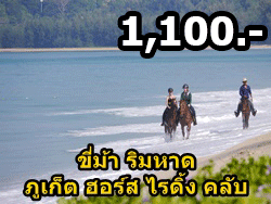 ภูเก็ต-ขี่ม้า-ริมหาด-ชมพระอาทิตย์ตก