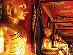 ภูเก็ต-ทัวร์วันเดย์-พังงา-เสม็ดนางชี-วัดบางโรง-กระบี่-5