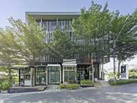 Blu-Monkey-Bed-&-Breakfast