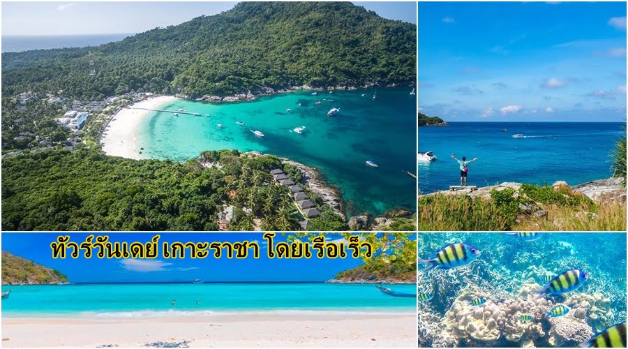 ทัวร์วันเดย์ เกาะราชา เกาะรายา เรือเร็ว