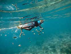 ภูเก็ต-ทัวร์-ดำน้ำ-ชมปะการัง-เกาะพีพี-อ่าวมาหยา