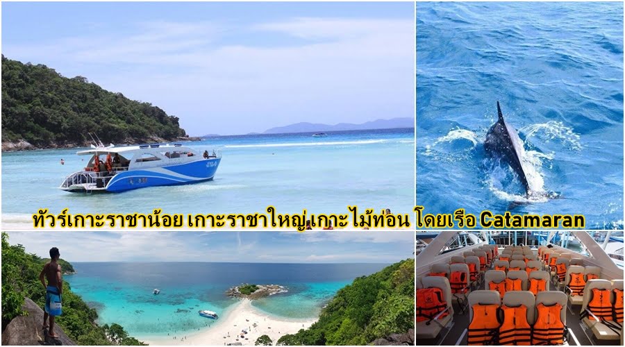 ภูเก็ต ทัวร์เกาะราชาน้อย หาดโจรสลัด เกาะไม้ท่อน catamaran