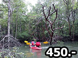 กิจกรรม-พายเรือคายัค-อ่าวนาง-กระบี่