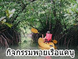 กิจกรรม-พายแคนู-อ่าวนาง