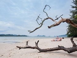 ภูเก็ต-ทัวร์เกาะละวะ-พังงา