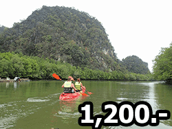 วันเดย์ทัวร์-พายเรือลอดถ้ำ-บ่อท่อ-กระบี่