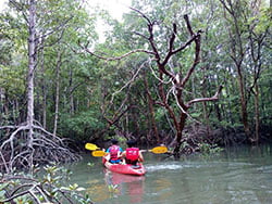 อ่าวนาง-กิจกรรม-พายเรือคายัค-8