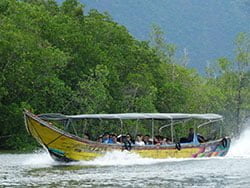 เหมาลำเรือหางยาว-ไพรเวท-อ่าวพังงา