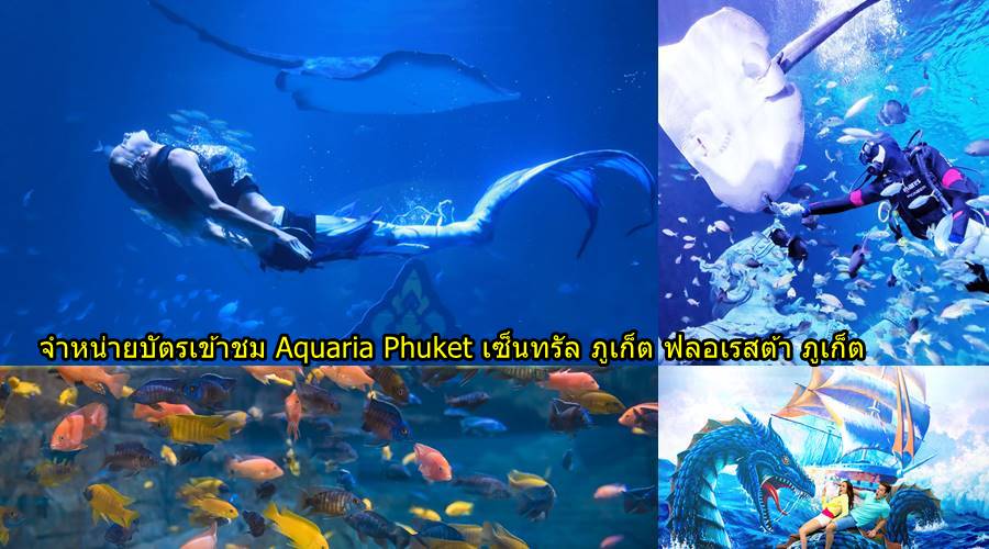 จำหน่ายบัตรเข้าชม Aquaria Phuket เซ็นทรัล ภูเก็ต ฟลอเรสต้า ภูเก็ต