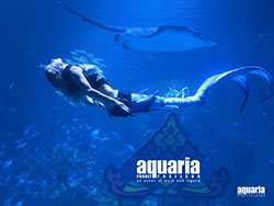 นางเงือกโชว์-อควาเรีย-ภูเก็ต-เซ็นทรัล