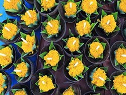 ภูเก็ต-ทัวร์ครึ่งวันบ่าย-ล่องเรือดินเนอร์-อ่าวพังงา