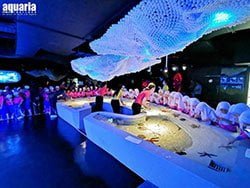 อควาเรียม-ภูเก็ต-เปิดใหม่-เซ็นทรัล