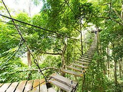 ฐานข้ามสะพาน-ป่าตอง-ซิปไลน์