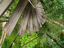 ฐานบันไดวน-ป่าตอง-ซิปไลน์