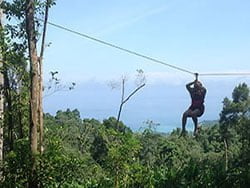 เล่นซิปไลน์-ชมวิวป่าตอง