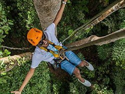 โหนตัวจากต้นไม้-ป่าตอง-ซิปไลน์
