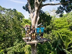 โหนสลิง-ป่าตอง-ซิปไลน์-แอดเวนเจอร์