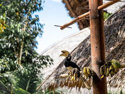 ธรรมชาติ-บานาน่าบีช