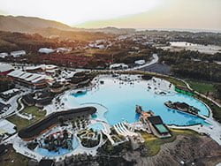 บลู-ทรี-มุมสูง