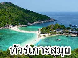 รวม-ทัวร์-เกาะ-วันเดย์-ทั้งหมด-ในเกาะสมุย