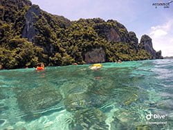 เที่ยว-ทะเล-ใต้-ดำน้ำตื้น-ภูเก็ต