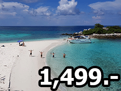 โปร-วันหยุด-2563-ทัวร์-เกาะ-ภูเก็ต-ดู-โลมา