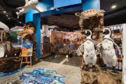 อควาเรีย-ภูเก็ต-aquaria-central