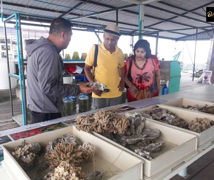 ฟาร์ม-ทัวร์-ไข่มุก-ภูเก็ต