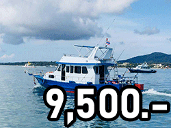 ภูเก็ต-เหมาลำเรือ-ตกปลา-เกาะราชาใหญ่-fishing-phuket
